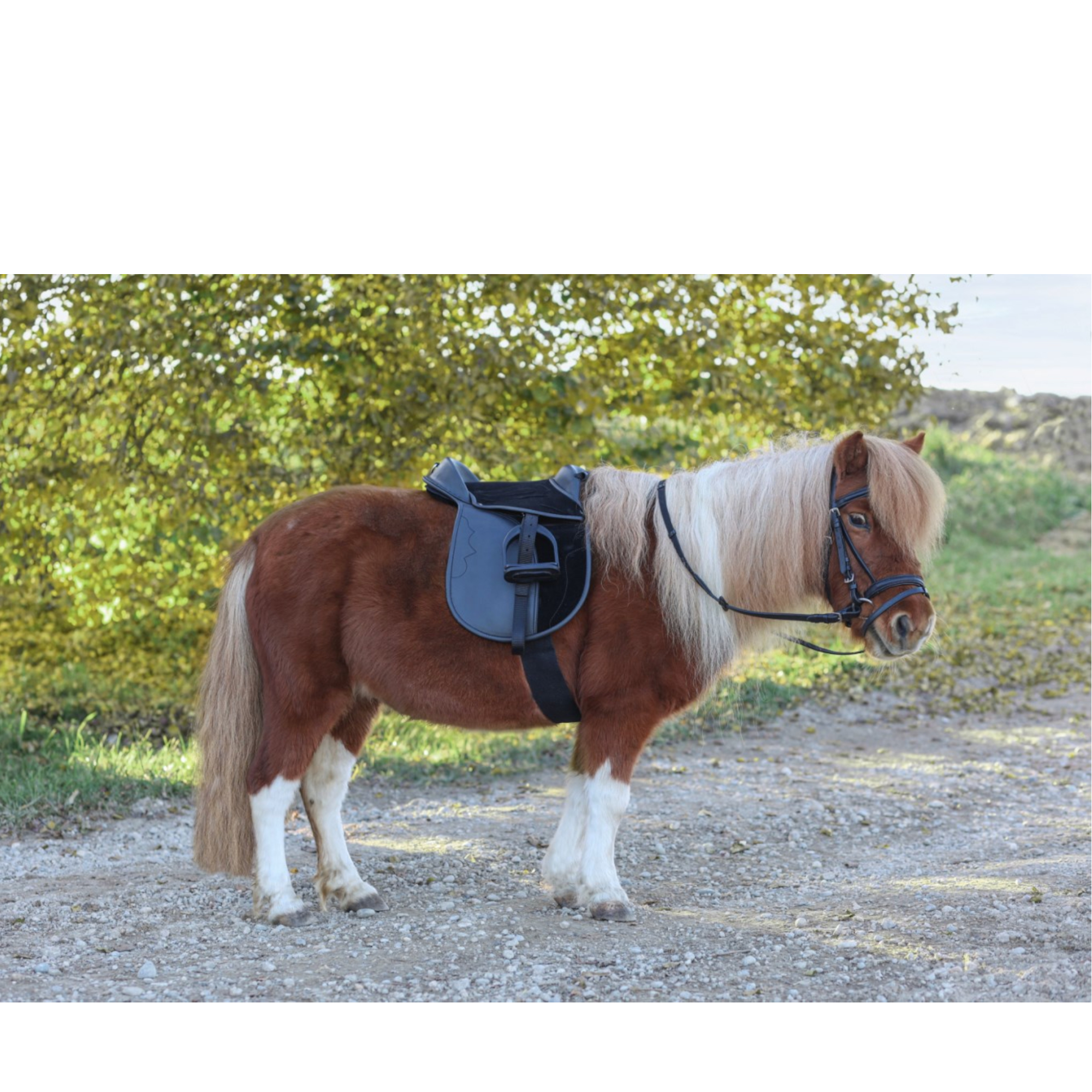 Silla de niño económica pony